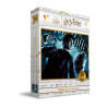Puzzle 100 efecto 3d poster harry potter y el misterio del principe harry potter