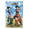 Poster 3d 58x38cm battle of gods goku vegeta family dragon ball super